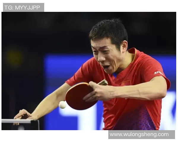 2015年乒乓球赛许昕对决张宇镇精彩瞬间回顾与分析