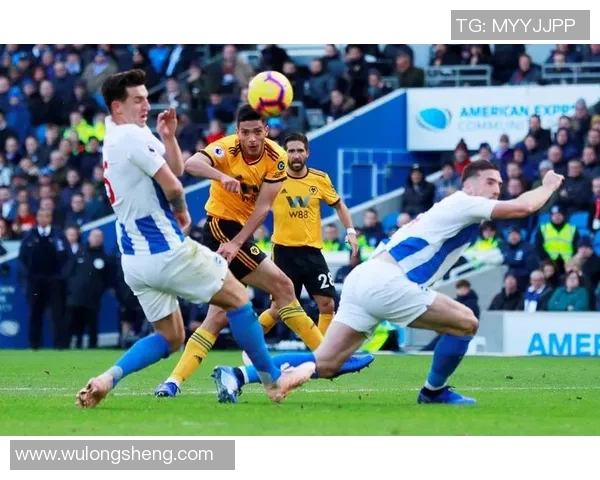 狼队与卡迪夫城的激烈对决谁能笑到最后精彩回顾与分析