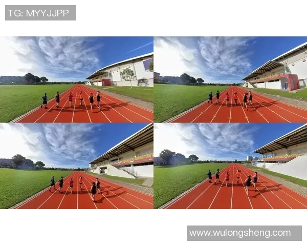 科学极限运动心理素质训练方法探究与实践指导MBA