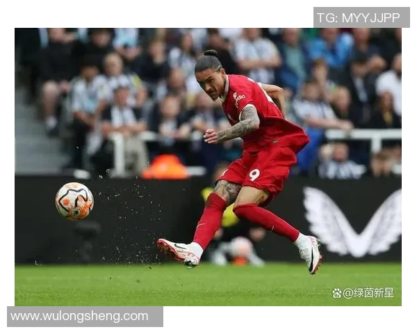 努涅斯：从新星崛起到足球巨星的成长之路与未来展望