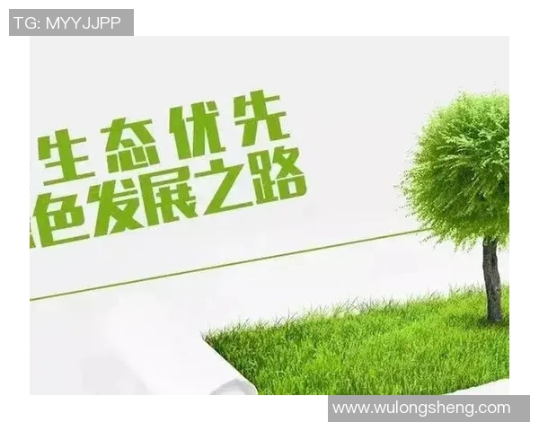 南京排球队运营革新探索:从传统模式到现代管理的全新转型之路 南京排球队运营革新探索:从传统模式到现代管理的全新转型之路