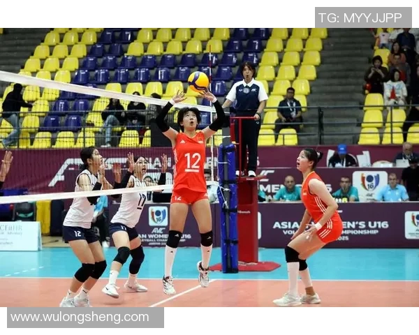 排球意识排行榜:上海排球队位居第1名 排球意识排行榜:上海排球队位居第1名