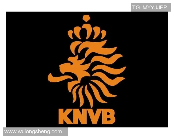 荷兰与法国激战在即投注攻略与分析助你赢得胜利