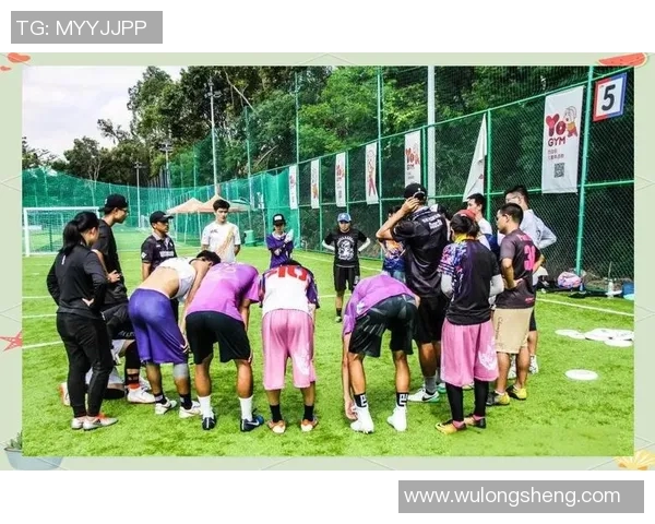 独家解析北京飞盘队团队协作的优势与挑战对比分析