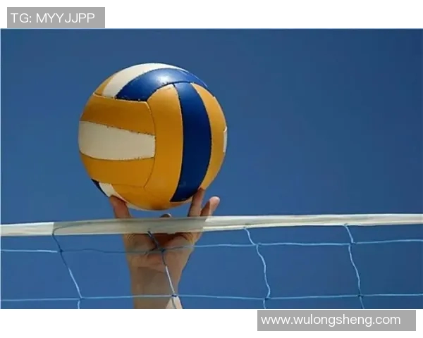 排球新手必看：从基础力量训练到实战技巧的全面入门指南