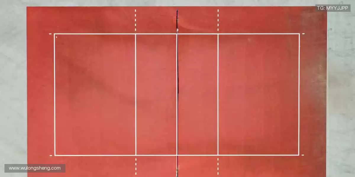 随时随地，直击赛场！📱🎯